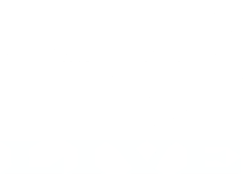 Cowboy Bebop Live